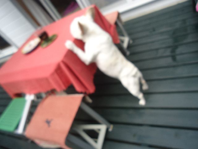 d0380237_19305747.jpg