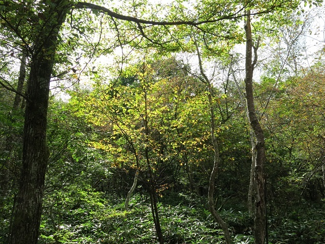 e0345845_20265532.jpg