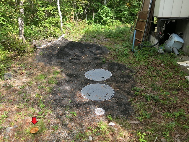 e0345845_20270237.jpg