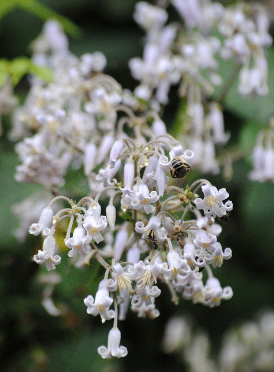 a0001354_23321441.gif