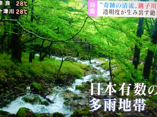 d0231858_10313880.jpg