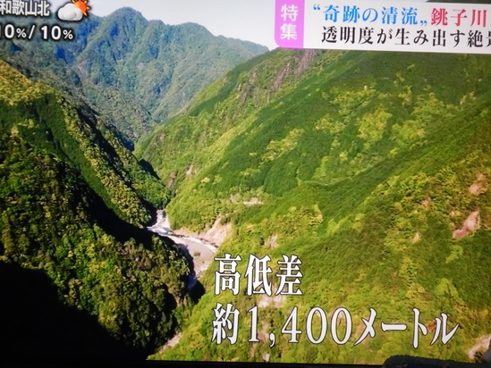 d0231858_10354590.jpg