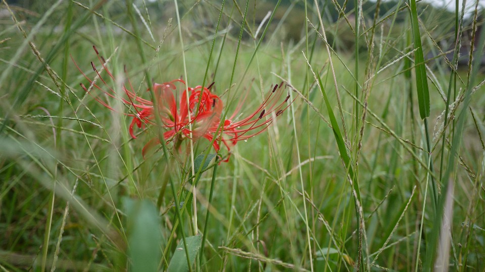 c0220065_00064302.jpg