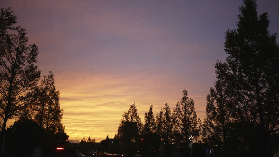 c0220065_00080627.jpg