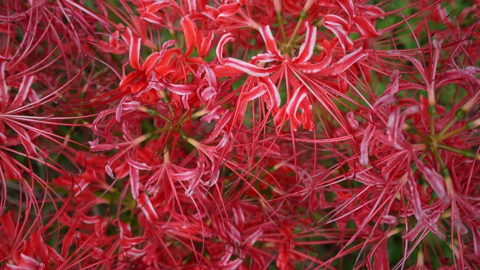c0220065_00093493.jpg