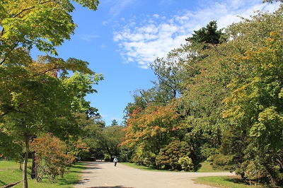 弘前公園でハートを探せ 弘前感交劇場 弘前公園でハートを探せ 弘前感交劇場