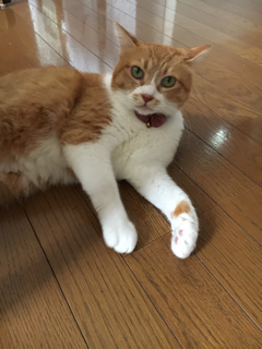 雨の日は手仕事_f0363168_08175599.png