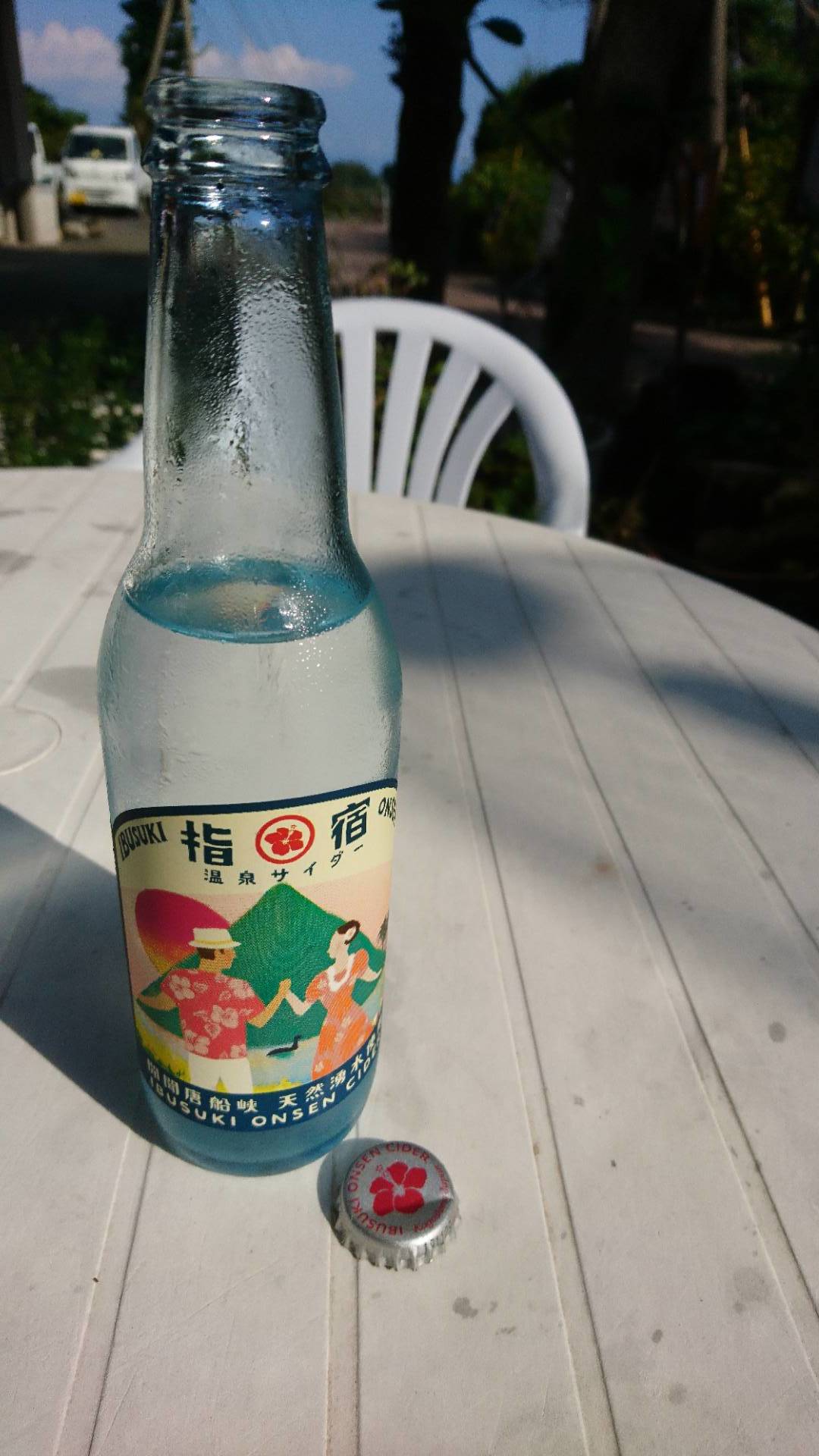 薩摩自然家族旅　開聞岳・指宿の砂蒸し風呂・絶品鳥刺し、ウニ・旭_c0002171_05093032.jpg