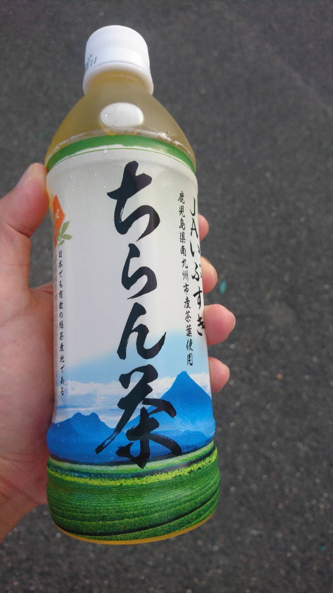 薩摩自然家族旅　開聞岳・指宿の砂蒸し風呂・絶品鳥刺し、ウニ・旭_c0002171_05151361.jpg