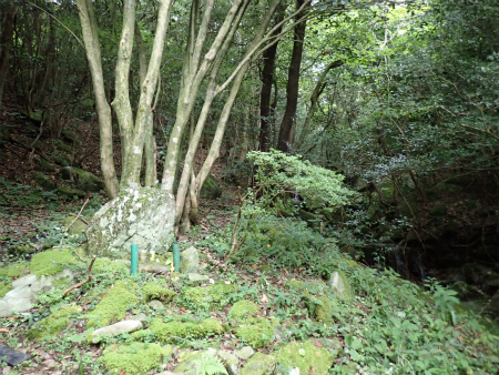 d0182075_18134052.jpg