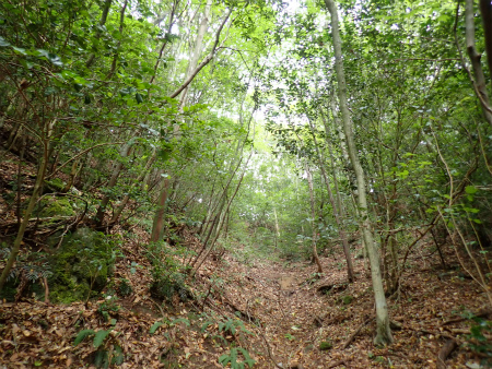 d0182075_18135247.jpg