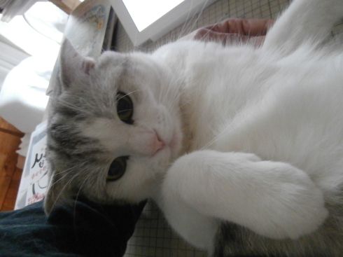 f0252578_15100840.jpeg
