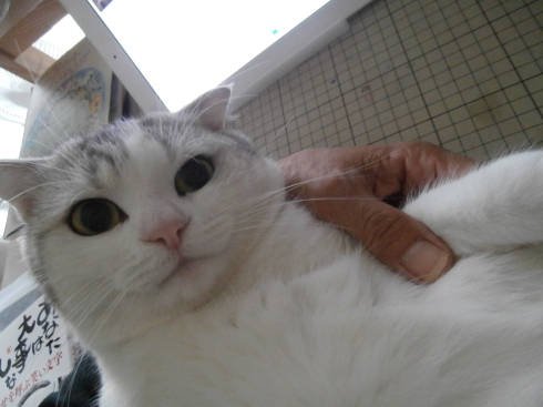 f0252578_15103523.jpeg