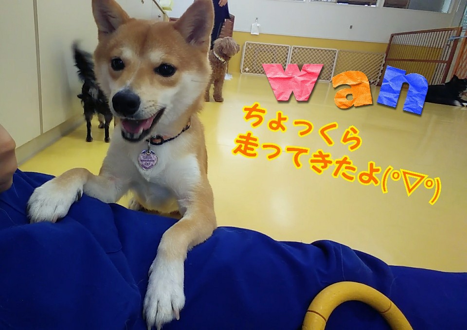 今日も元気元気💪(°▽°)_f0357682_12401125.jpg
