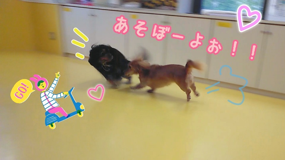 今日も元気元気💪(°▽°)_f0357682_12402669.jpg