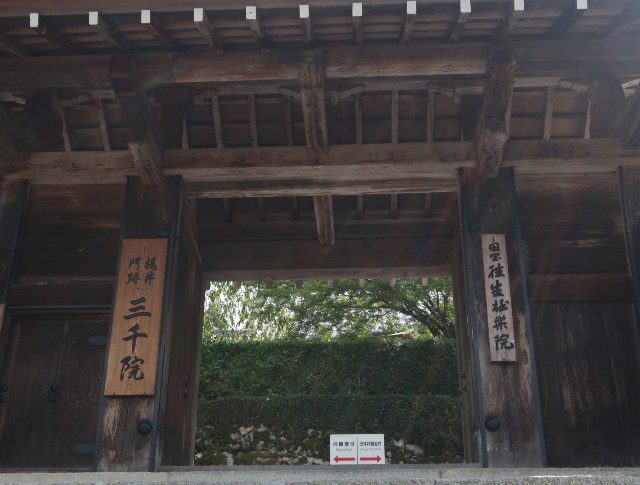 d0098183_09380029.jpg