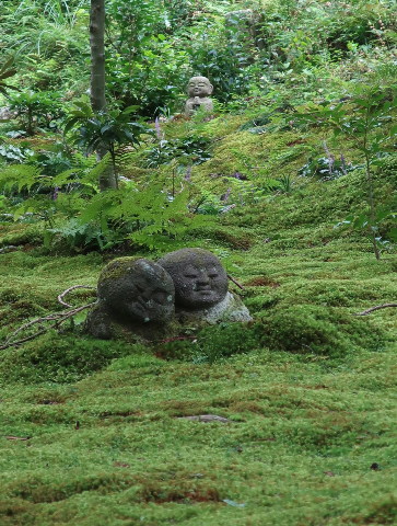 d0098183_09515957.jpg