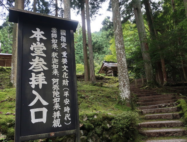 d0098183_17282317.jpg
