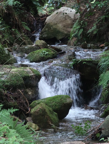 d0098183_19141415.jpg