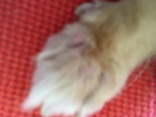 f0049685_13160308.jpeg