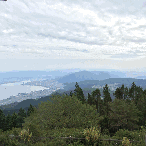 a0309389_19173985.gif
