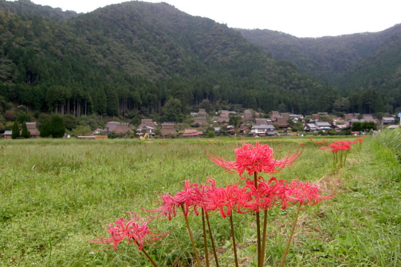 c0057390_01530850.jpg