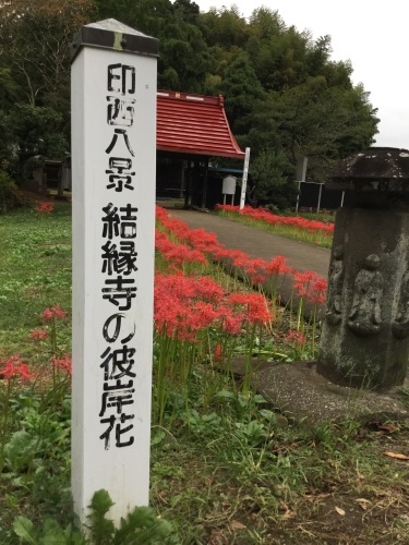 c0151691_18432744.jpeg