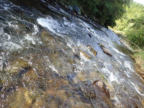 e0241691_19233415.jpg