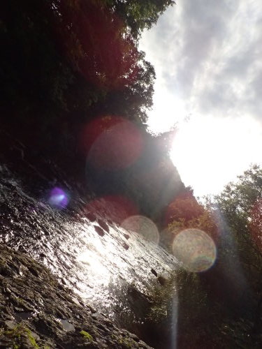 e0241691_19292905.jpg
