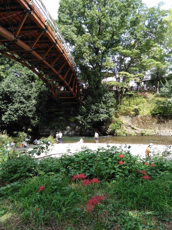 d0291493_07122191.jpg