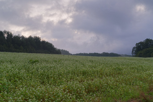 e0366896_23075953.jpg