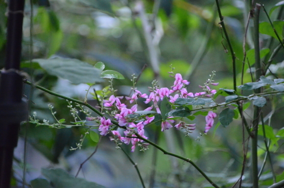 a0288500_06513836.jpg