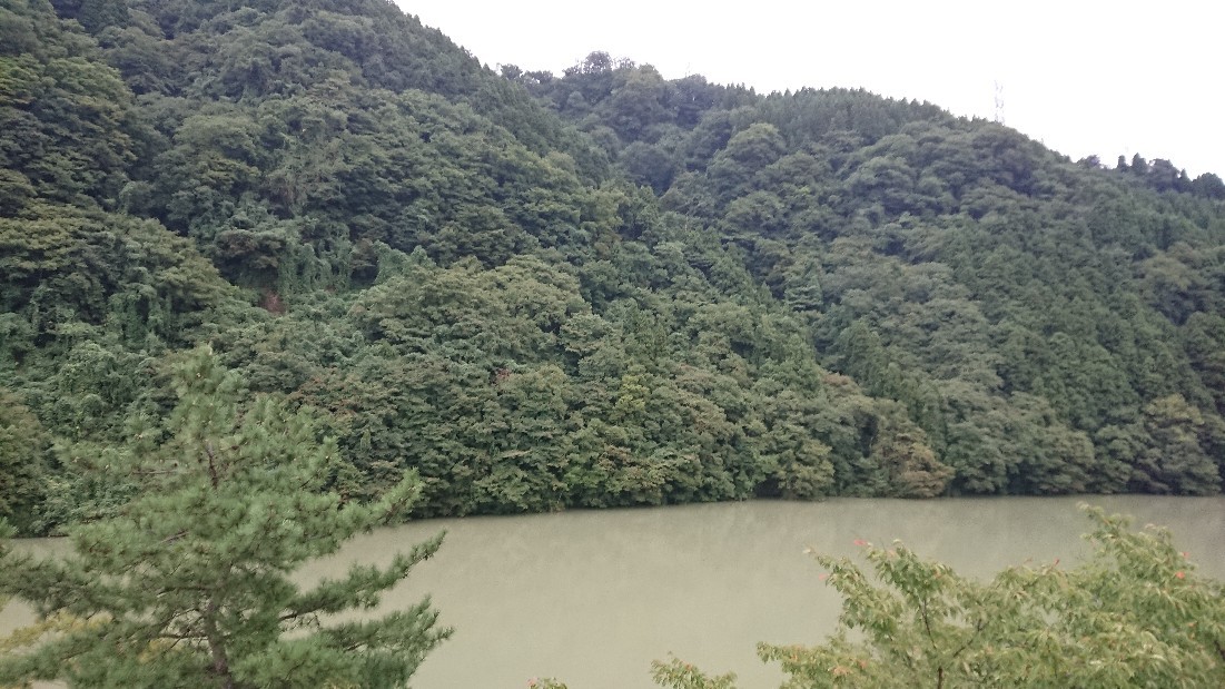 f0337700_19582441.jpg