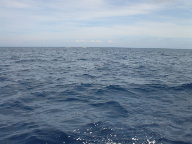 a0203003_22314441.jpg