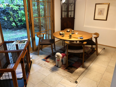 フミちゃんと初めての温泉旅行♪_f0126903_22322598.jpg
