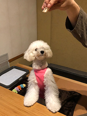 フミちゃんと初めての温泉旅行♪_f0126903_22332889.jpg