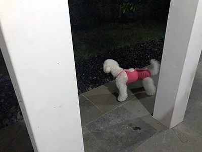 フミちゃんと初めての温泉旅行♪_f0126903_22362021.jpg