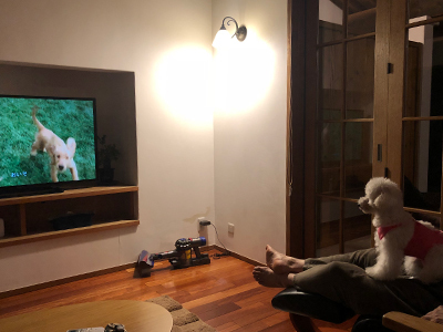 フミちゃんと初めての温泉旅行♪_f0126903_22371367.jpg