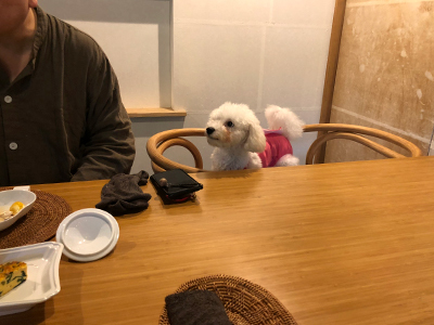 フミちゃんと初めての温泉旅行♪_f0126903_22375883.jpg
