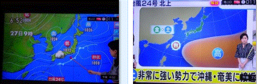 f0231709_14432354.gif