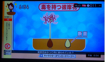 f0231709_21382902.gif