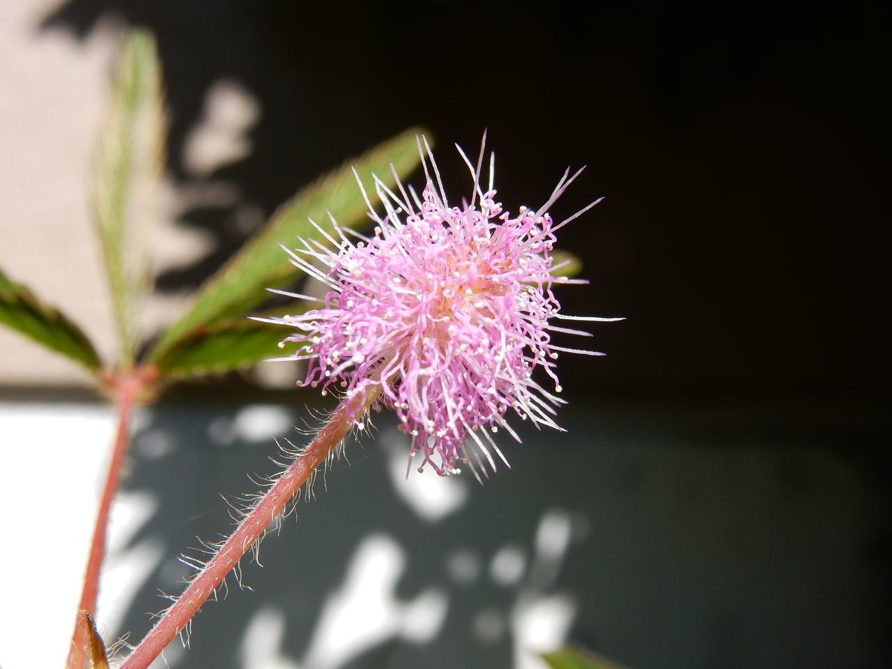9月27日のtwitter_c0025115_22341710.jpg