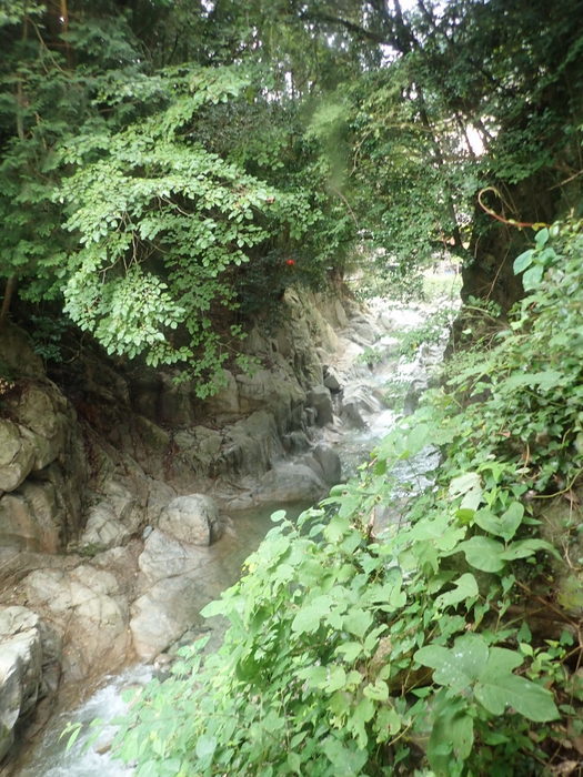 鈍川温泉 美賀登_c0116915_00251989.jpg