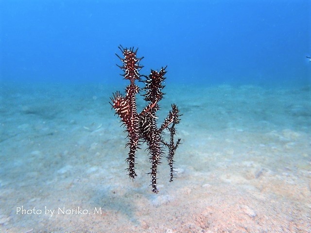 c0211615_11533253.jpg