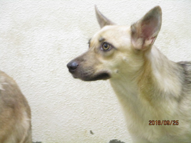 f0078320_00403764.jpg