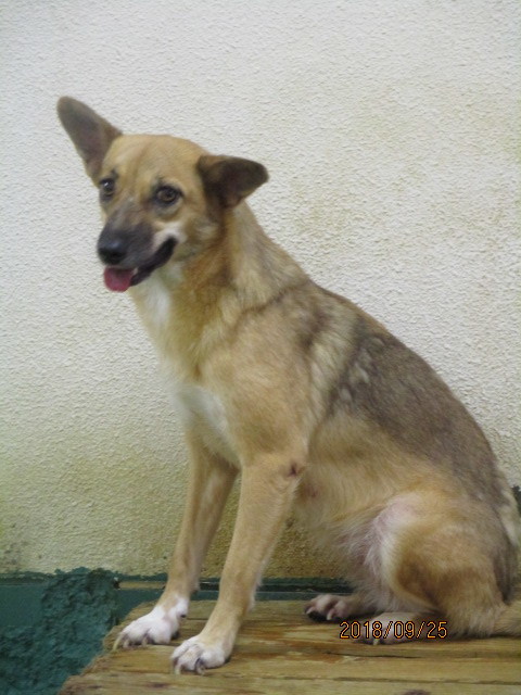 f0078320_00412085.jpg