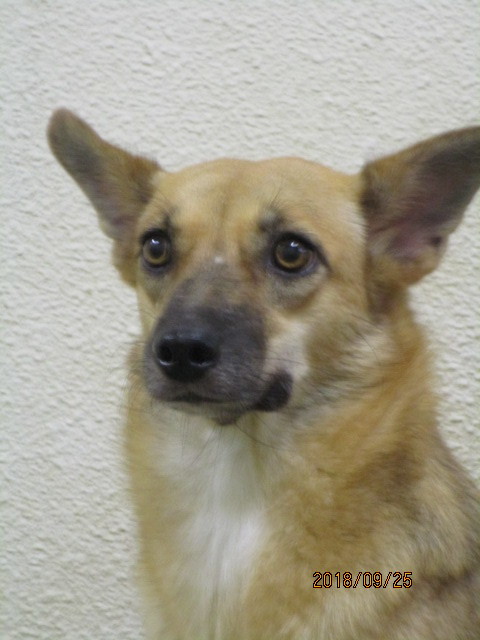 f0078320_00413075.jpg