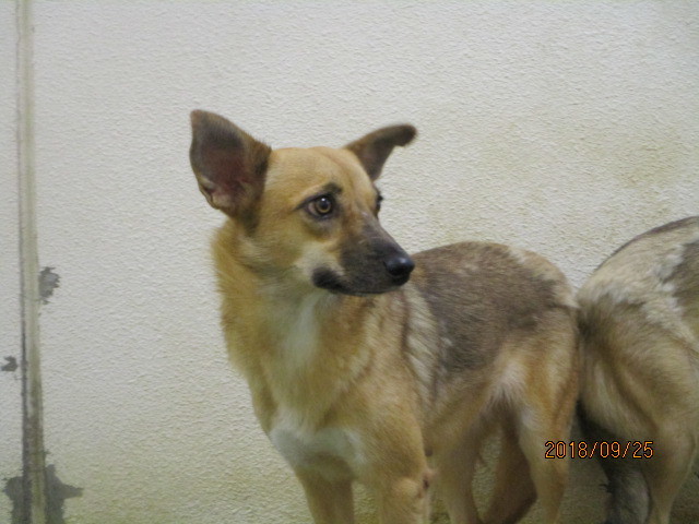 f0078320_00420270.jpg