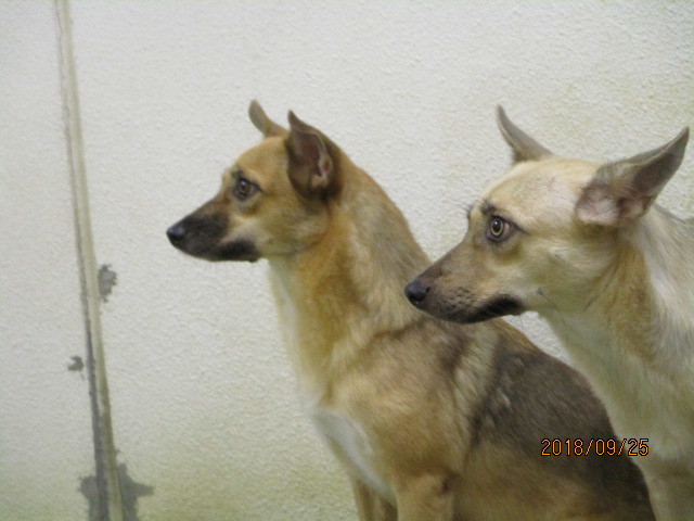 f0078320_00423935.jpg