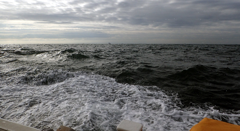d0171823_21480934.jpg
